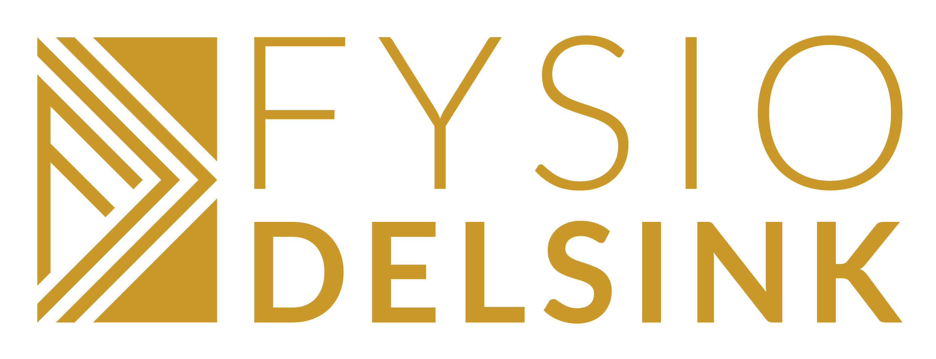 Fysio Delsink Logo